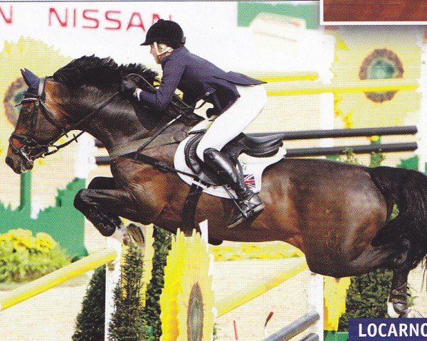stallion Locarno 62 (Holsteiner, 1996, from Lord Calidos)