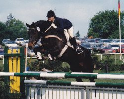 broodmare Schleife (Holsteiner, 1980, from Cor de la Bryère)