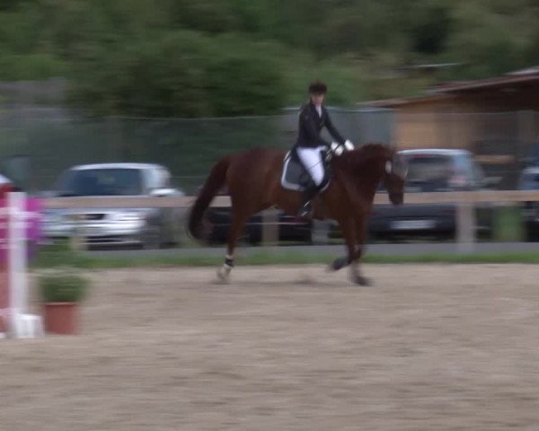 Reitturnier Kleinostheim/Ufr. 2020