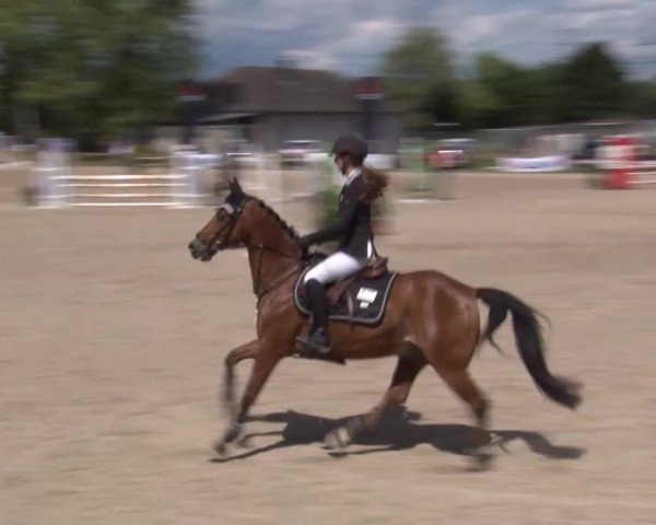 Reitturnier Kleinostheim/Ufr. 2020