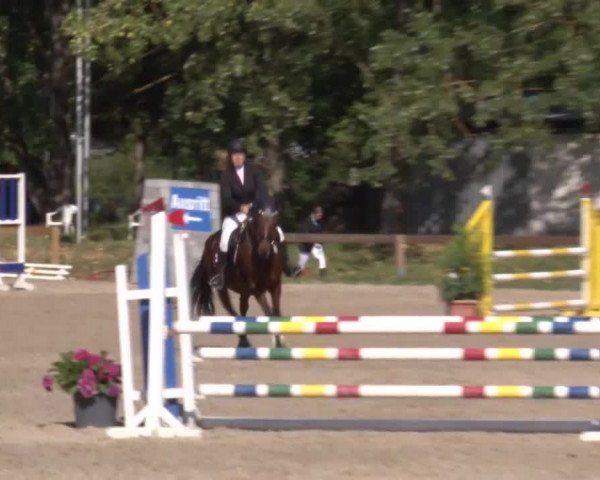 Reitturnier Kleinostheim/Ufr. 2020