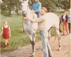 broodmare Wanda (Holsteiner, 1962, from Master Richard xx)