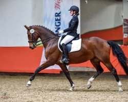 dressage horse Legenda Ria (Westfale, 2004, from Likoto xx)