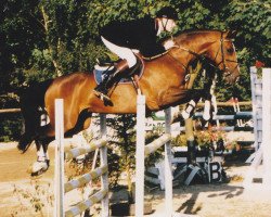 broodmare Calanda 19 (Holsteiner, 1993, from Calando I)