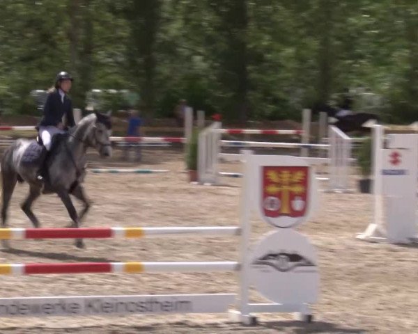 Reitturnier Kleinostheim/Ufr. 2020