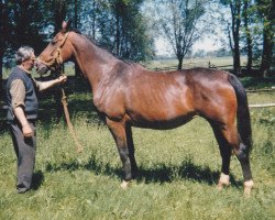 broodmare Aktie (Holsteiner, 1964, from Fax I)