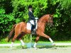 dressage horse Del Rey 2 (Hanoverian, 2011, from Desperados FRH)