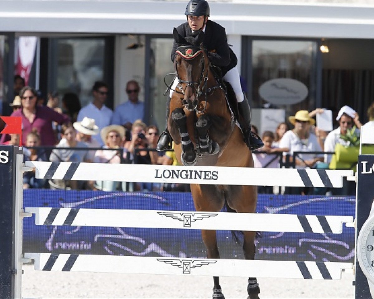 jumper Camilo la Silla (Sporthorse La Silla, 2002, from Portofino)