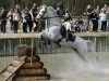 horse Looping de Buissy AA (Anglo-Arabs, 1999, from Quercus du Maury AA)