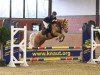 jumper Grany Smith 2 (German Riding Pony, 2010)