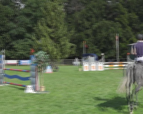 Reitturnier Kappelen-Lyss 2020