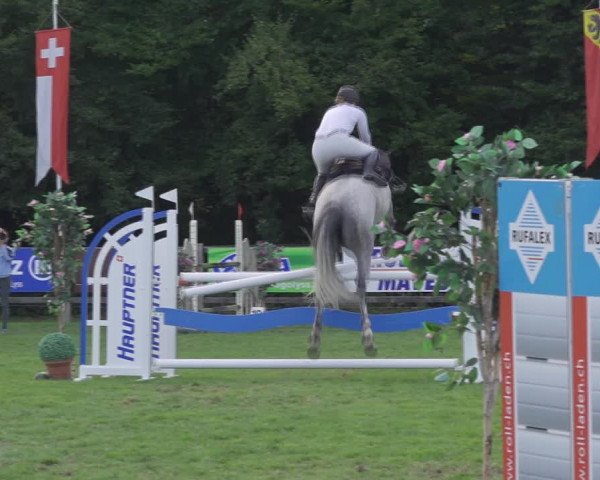 Reitturnier Kappelen-Lyss 2020