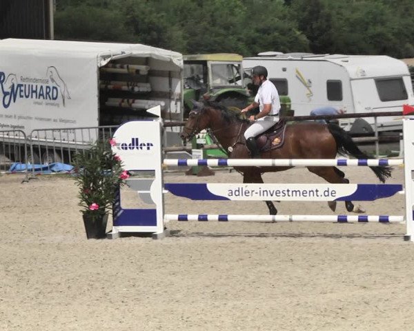 Reitturnier Worms-Pfeddersheim / Reitsportanlage Wittemer 2020