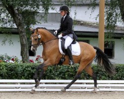 dressage horse Crazy Pokerface Tr (German Riding Pony, 2009, from Champ de Luxe)