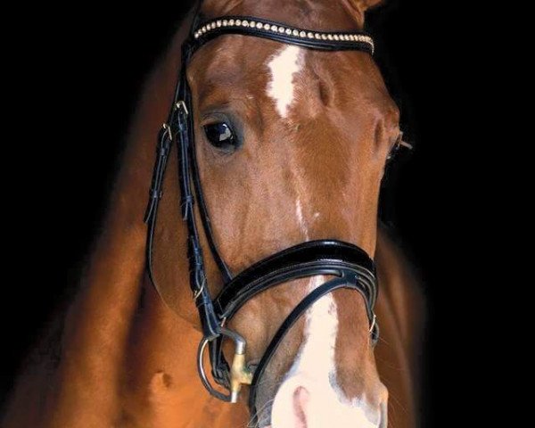 dressage horse Finley's Fairplay (Rhinelander, 2009, from Flatley 2)