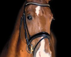 dressage horse Finley's Fairplay (Rhinelander, 2009, from Flatley 2)