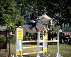 jumper Cobra 27 (German Sport Horse, 2007, from Contrieu)