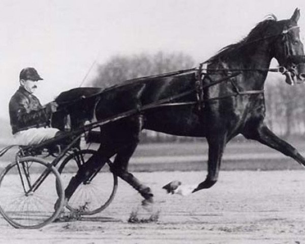 broodmare Uranie (FR) (French Trotter, 1920, from Interméde (FR))