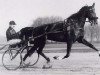 broodmare Uranie (FR) (French Trotter, 1920, from Interméde (FR))