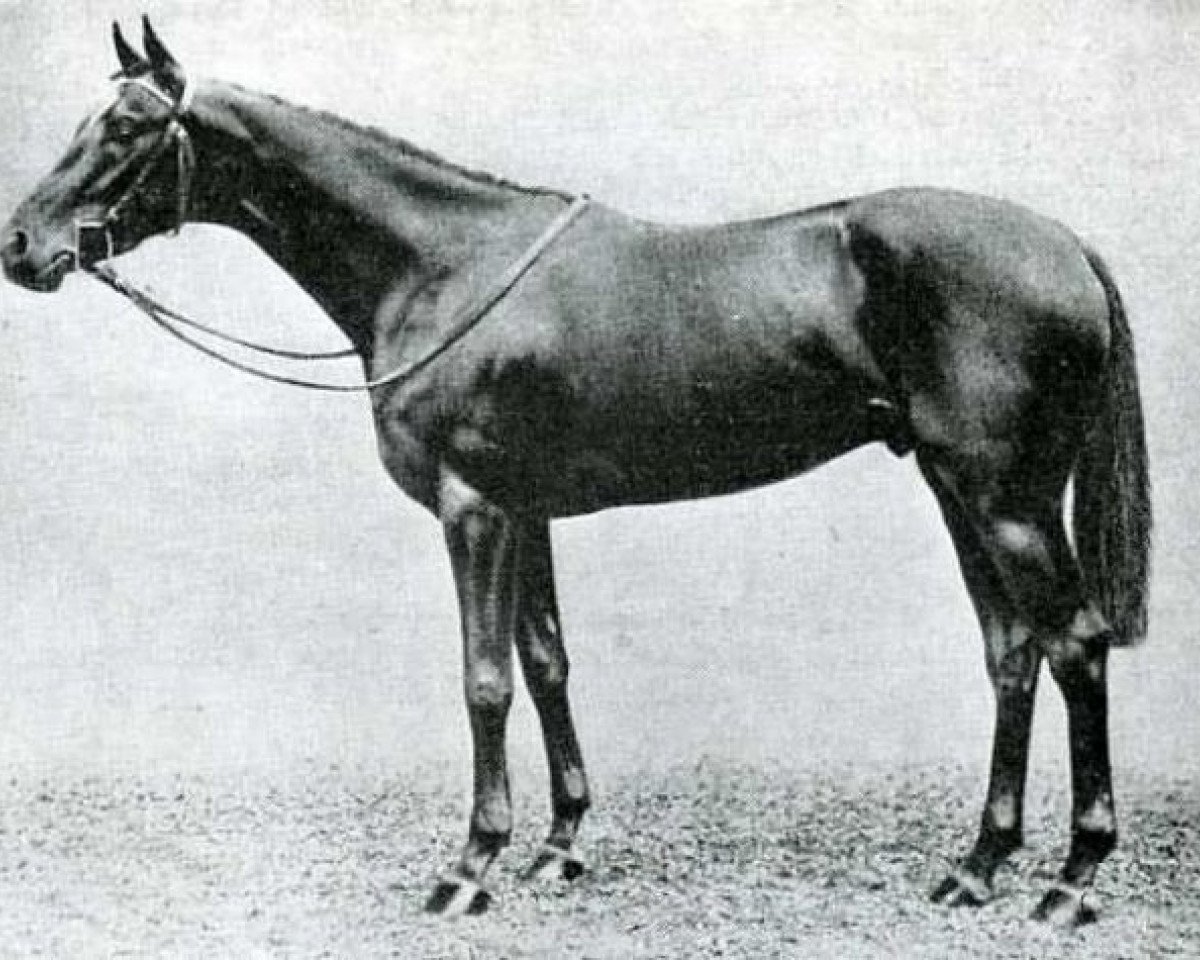 stallion Rodosto xx (Thoroughbred, 1930, from Epinard xx)