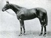 stallion Rodosto xx (Thoroughbred, 1930, from Epinard xx)