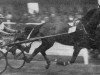 stallion Kairos (FR) (French Trotter, 1932, from The Great McKinney 68731 (US))