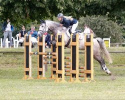 dressage horse MP Nemo (German Riding Pony, 2009, from MP Nina's Boy)