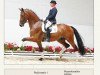 dressage horse Raccon 2 (Oldenburg, 2006, from Rohdiamant)