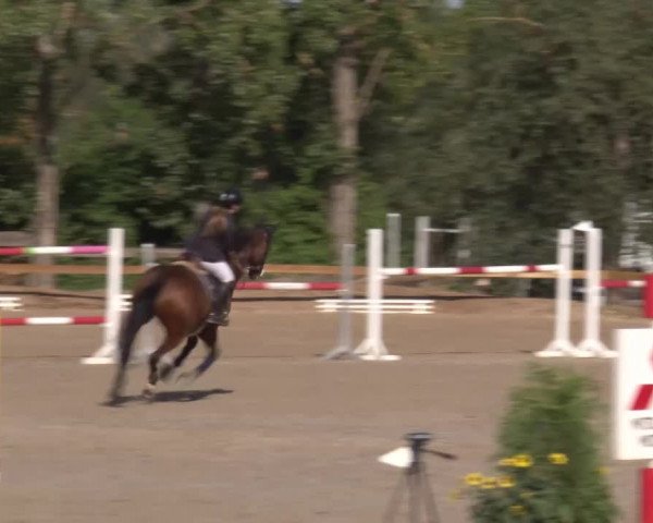 Reitturnier Kleinostheim/Ufr. 2020