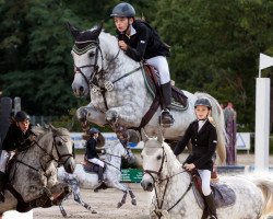 jumper Mandragore (French Pony, 2000, from Bambou des Pins ox)