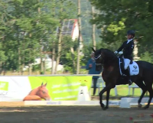 Reitturnier Babenhausen/Schw. 2020