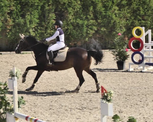 Reitturnier Worms-Pfeddersheim / Reitsportanlage Wittemer 2020