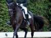 dressage horse Rubinero's Romantica (Hanoverian, 2005, from Rubinero 2)