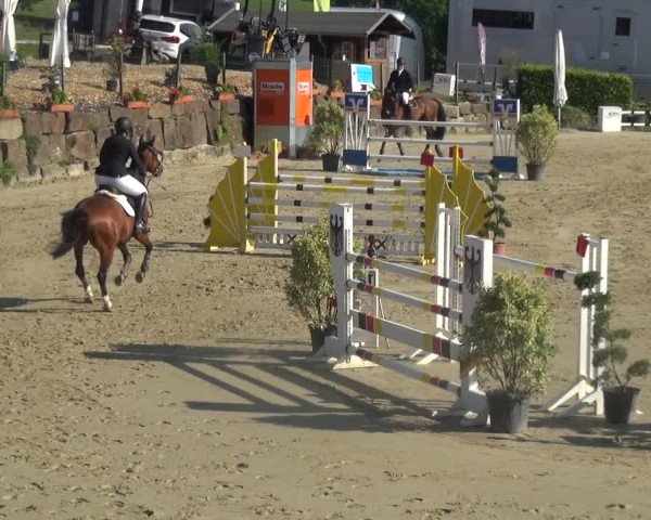 Reitturnier Lindlar-Süttenbach 2020
