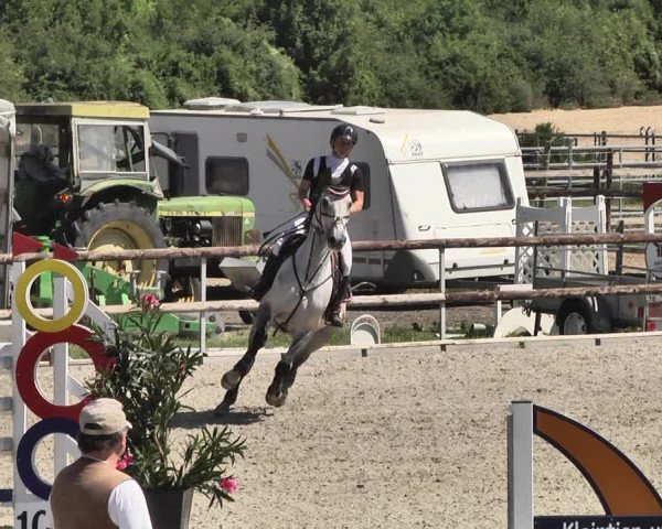 Reitturnier Worms-Pfeddersheim / Reitsportanlage Wittemer 2020
