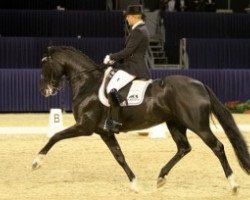 dressage horse Athene B (KWPN (Royal Dutch Sporthorse), 2005, from Don Schufro)