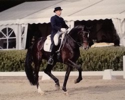 dressage horse Escada 197 (Westphalian, 2006, from Ehrenpreis)