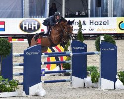 jumper Tonik Hero (Belgium Sporthorse, 2003, from Ogano Sitte)