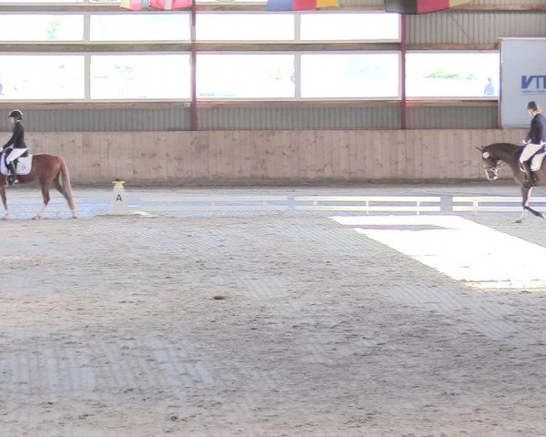 Reitturnier Süderlügum 2020