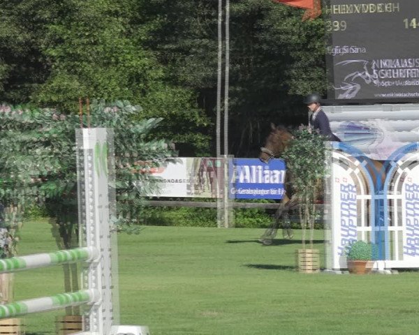 Reitturnier Kappelen-Lyss 2020