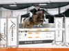 jumper Kleber du Hardrais (French Pony, 1998, from Kalem ox)