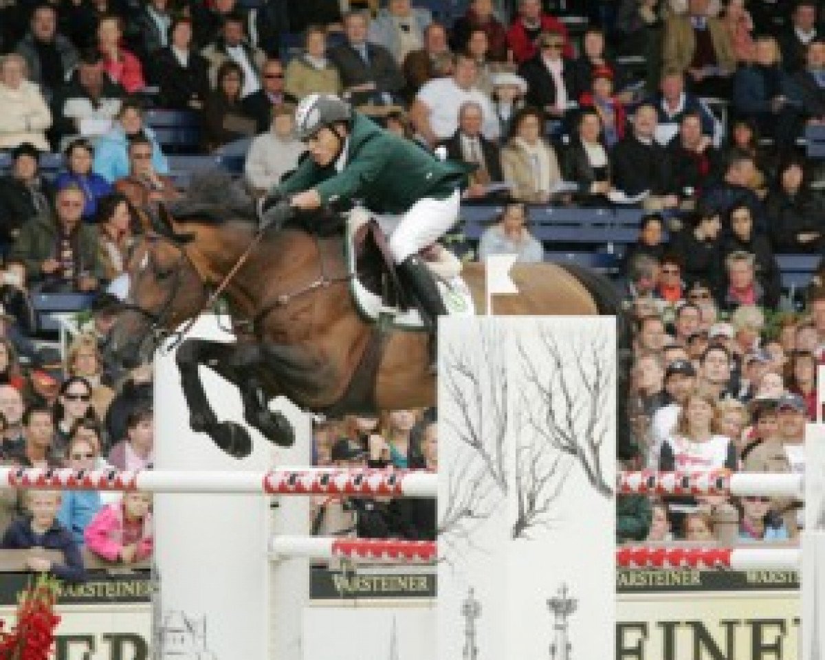stallion Hugo Gesmeray (Selle Français, 1995, from Rosire)