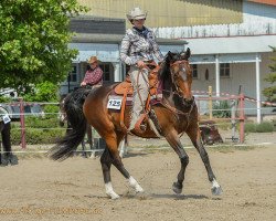 broodmare Annabelle (Hanoverian, 2000, from Antaeus)