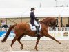 dressage horse Deveraux B (Westphalian, 2002, from Dimension)