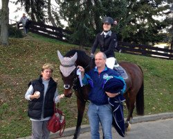 broodmare Rafaella (German Sport Horse, 2005, from Standing Ovation)