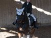 dressage horse Schoensgreen Malinka (German Riding Pony, 2006, from Black Horse 2)