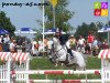 stallion Jimmerdor de Florys (French Pony, 1997, from Nimmerdor)