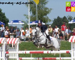 stallion Jimmerdor de Florys (French Pony, 1997, from Nimmerdor)