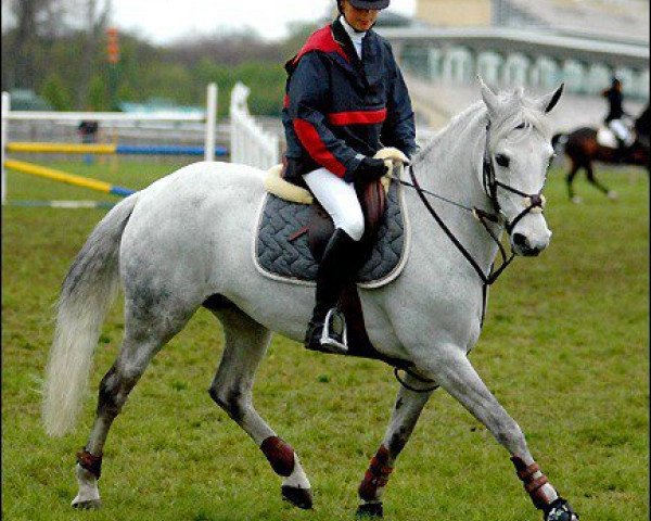 broodmare Helen du Clos (French Pony, 1995, from Country Melody)