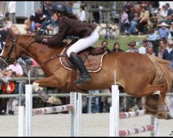 jumper Milford de Grangues (French Pony, 2000, from Shining Starr Aristo)